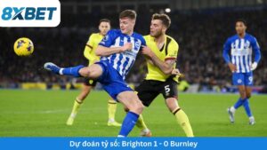 du-doan-ty-so-keo-nha-cai-brighton-burnley